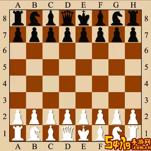 国际象棋棋子英文 国际象棋棋子英文叫法 提高效率