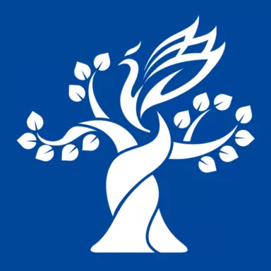 梧桐中文学习手机版