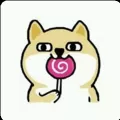 萌狗影视