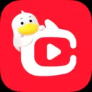 点淘安卓版
