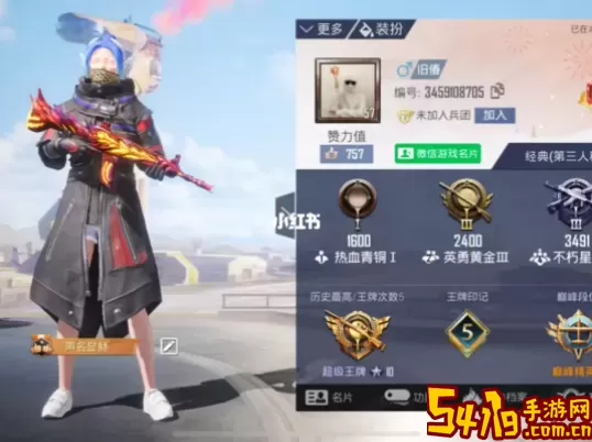 和平精英wyy个人资料 和平精英wyy详细资料