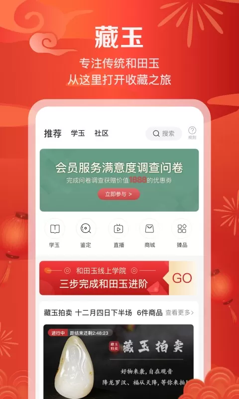 藏玉下载正版图3