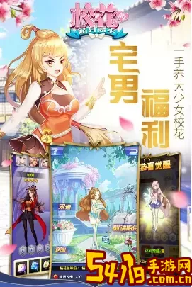 校花的贴身高手小说