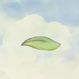 风子免费手机版