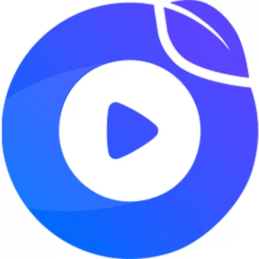 点盾云播放器官网版手机版