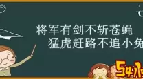 英雄之剑不斩苍蝇类似的古语