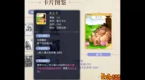 ro手游 法师卡片