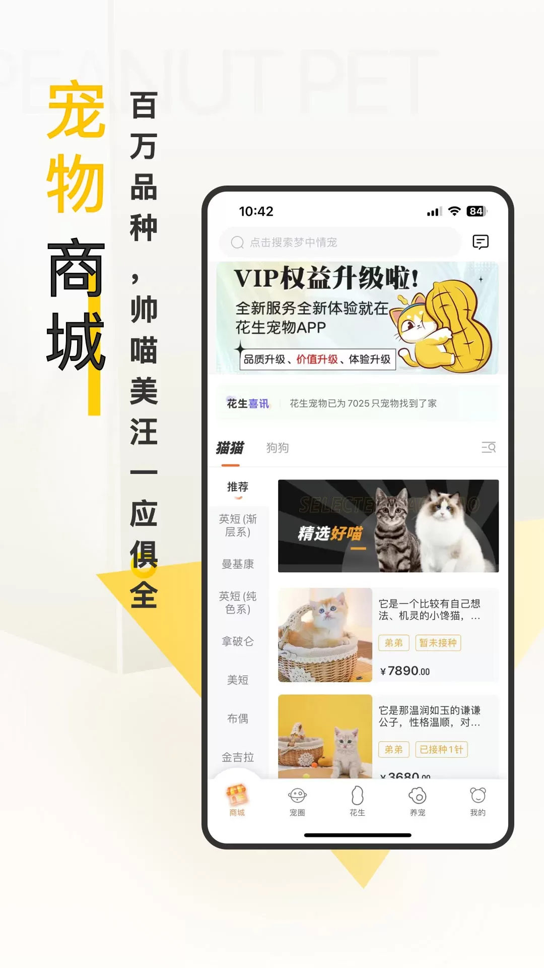 花生宠物最新版下载图2