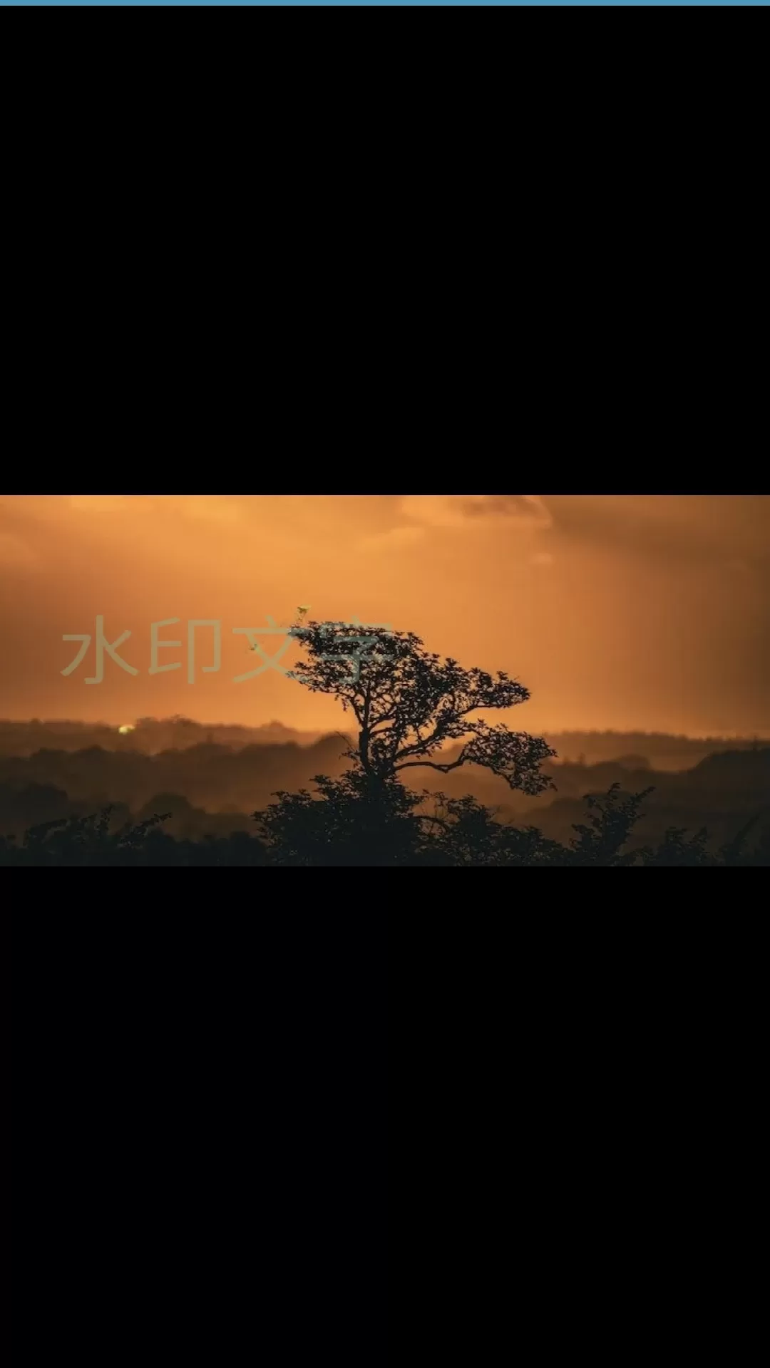 批量图片水印官网版下载图3