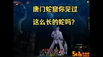 九阴真经唐门下本攻略