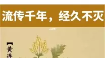 重楼治肠炎的最佳吃法