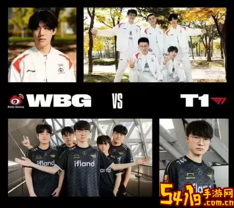 wbg是哪个国家的战队