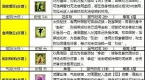 九阴真经适合峨眉的江湖武学