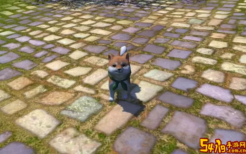 ff14要去新区豆豆柴吗