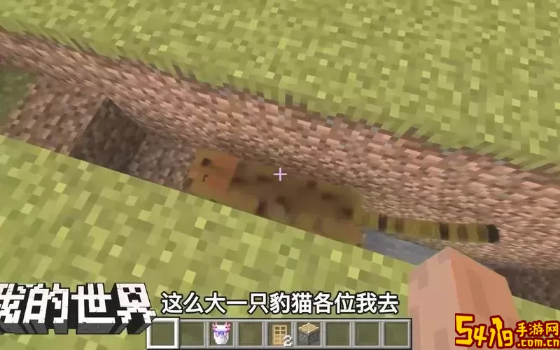 最新版我的世界豹猫能驯服吗-我的世界里面的豹猫怎么驯化