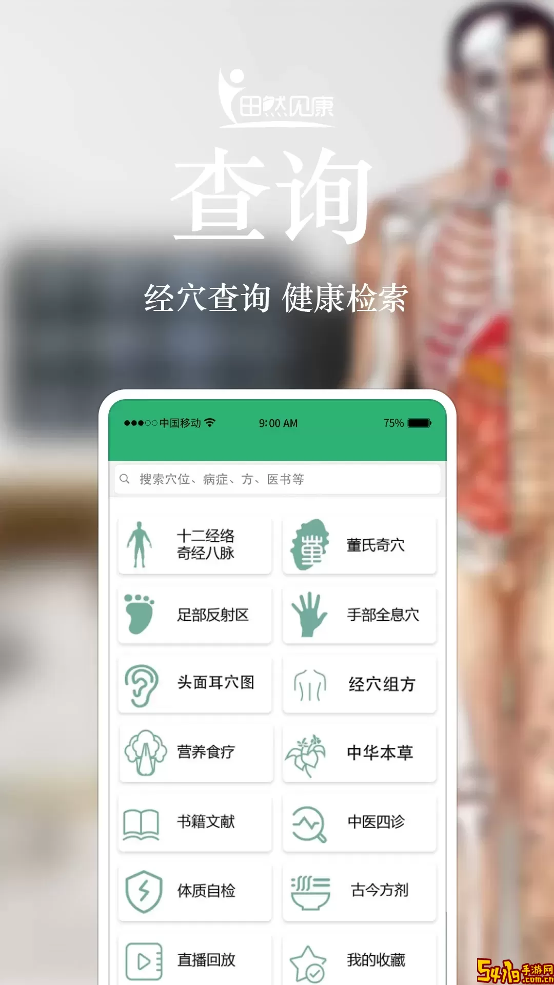 田然见康下载正版