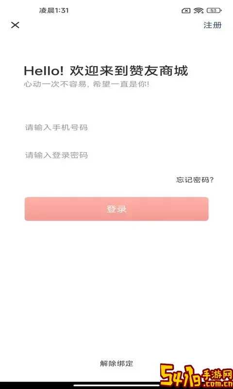 赞友商城手机版
