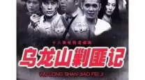 《东北剿匪记》中的情感线索有何深意