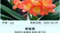 1.2号是什么星座的代表人物有哪些