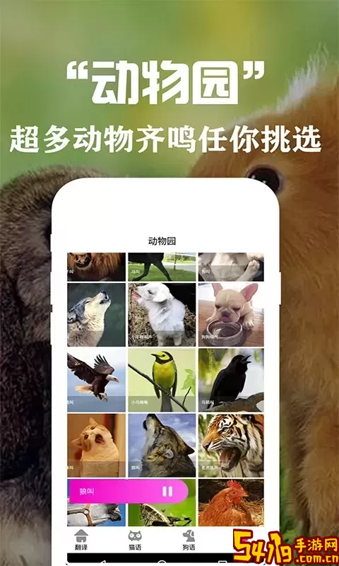 狗语翻译交流器app下载