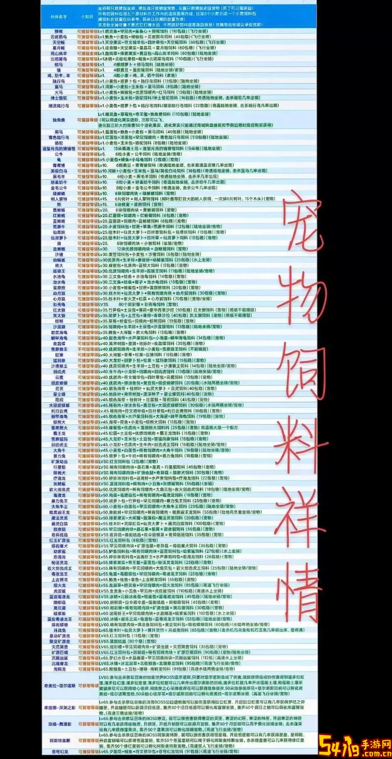 蝾螈成长/