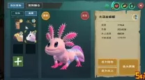 创造与魔法大顽皮蝾螈饲料保底多少包（创造与魔法大顽皮蝾螈饲料要几包稳）