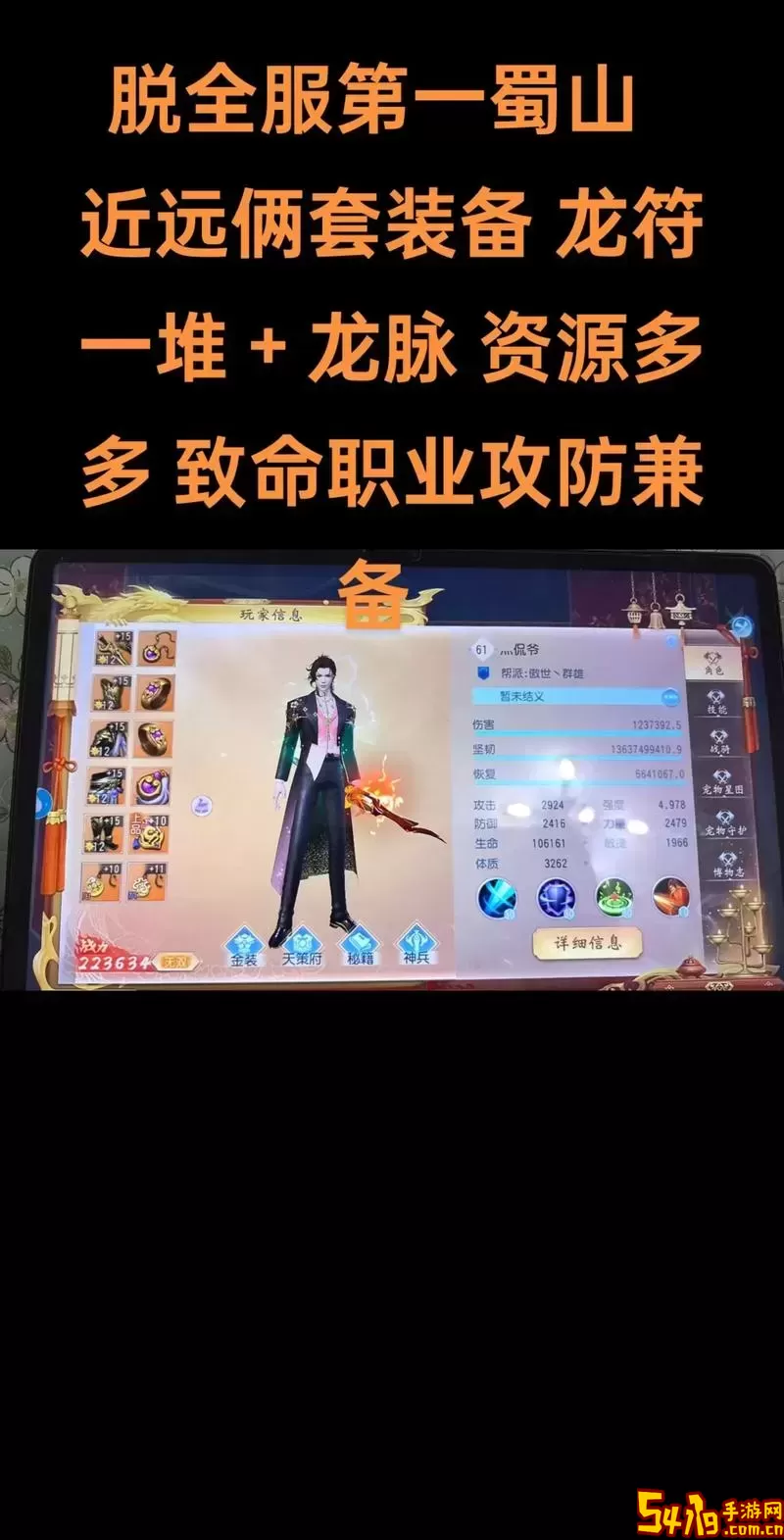 法师与刺客职业