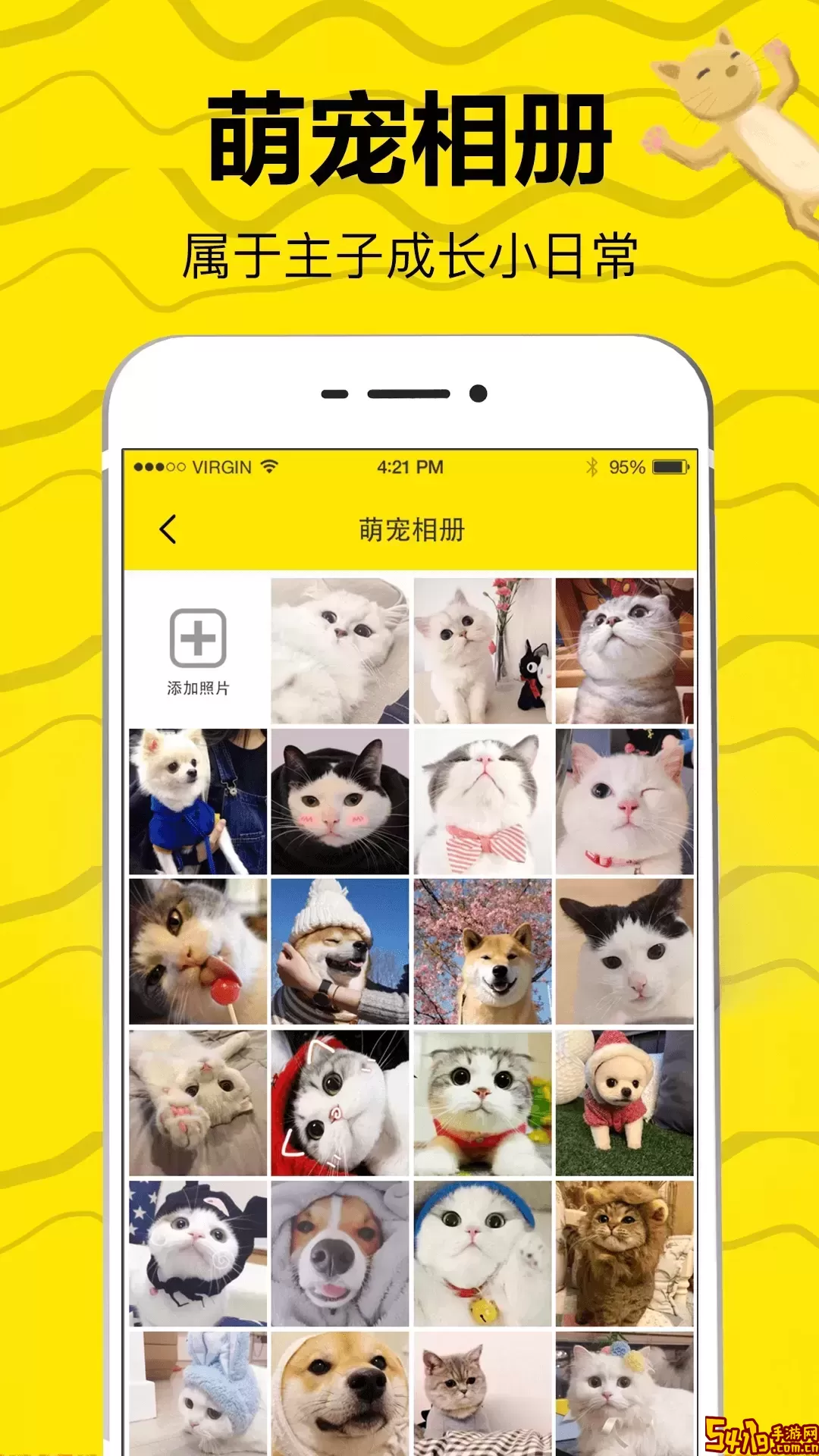 猫语翻译app最新版