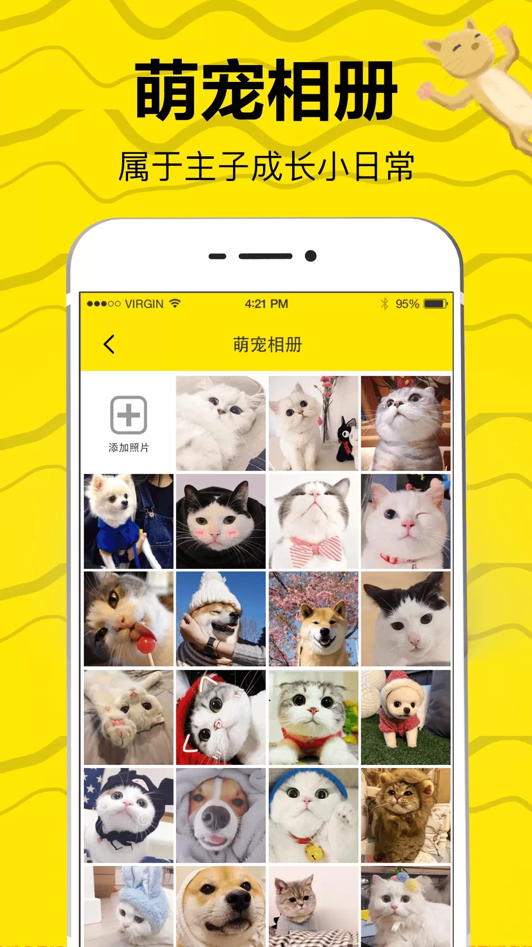 猫语翻译app最新版图5