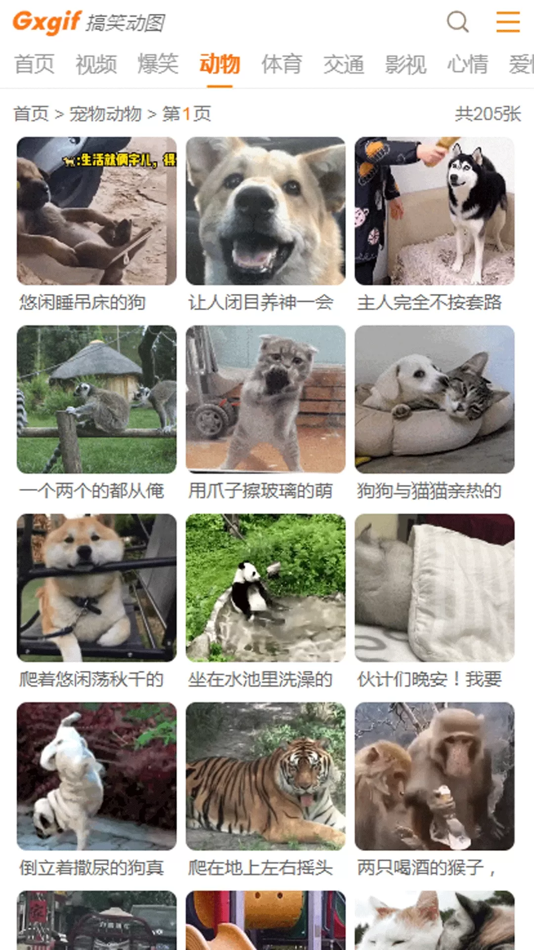 搞笑动图平台下载图3