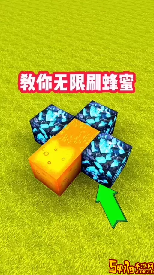 蜜蜂使用/