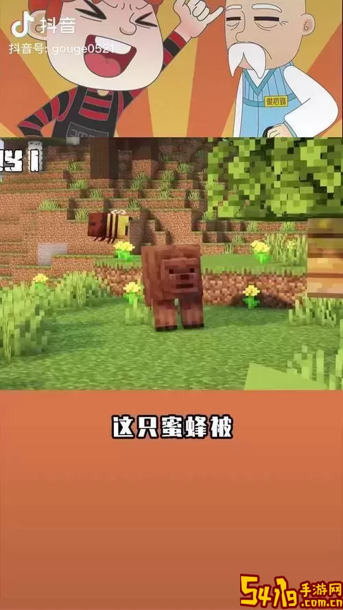 养蜜蜂/