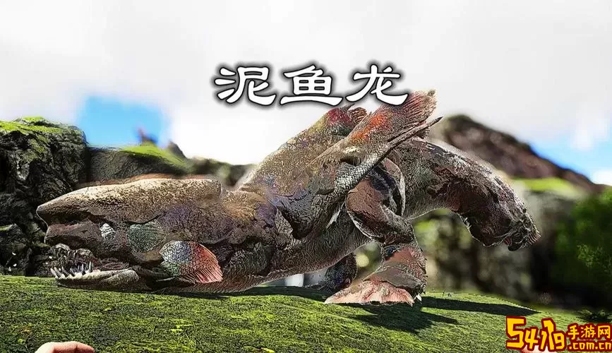 泥鱼在水中的景象