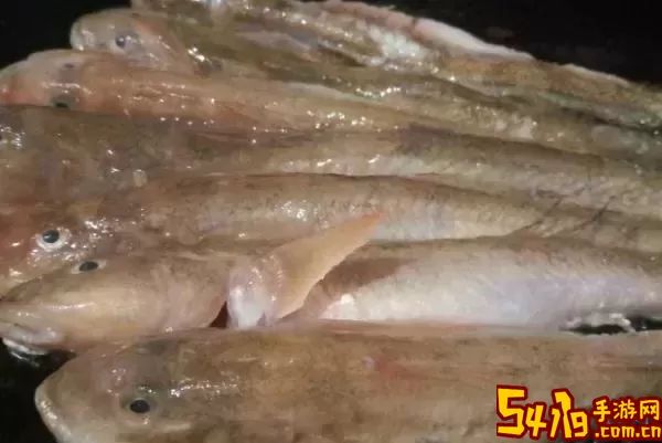 泥鱼的美味佳肴