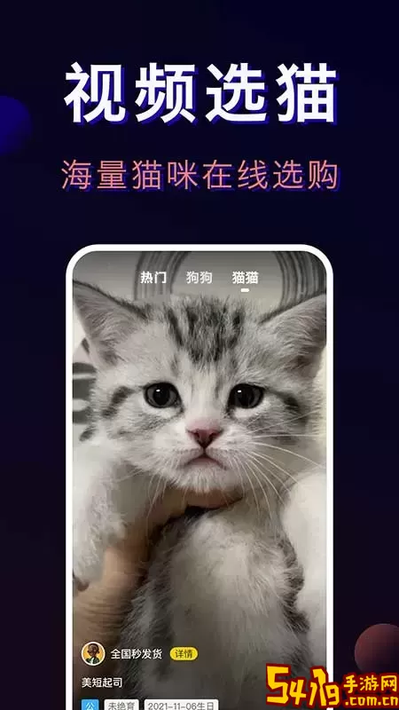 宠物宝安卓最新版