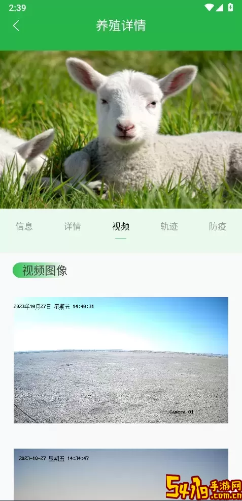 我在草原有只羊正版下载