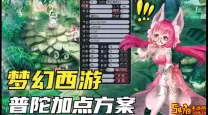 梦幻西游普陀山最佳加点攻略与技巧分析