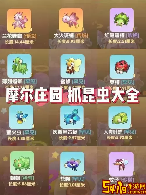 摩尔庄园为什么捕捉不到精灵-摩尔庄园为什么抓不住精灵图1