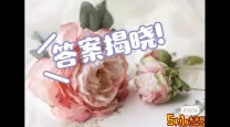 剑与远征诗社12月7日答案揭晓，精彩内容速来围观！