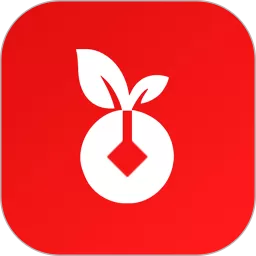 黑银下载最新版