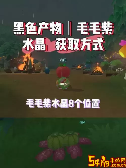摩尔庄园手游毛毛豆怎么获得-摩尔庄园怎样获得毛毛豆图2