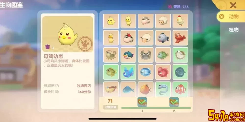摩尔庄园手游许愿龟有什么用-摩尔庄园许愿龟有什么作用图1