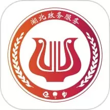湖北税务网上税务局安卓下载