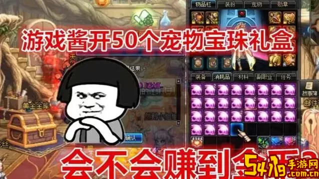 dnf狂战宠物宝珠选什么图1