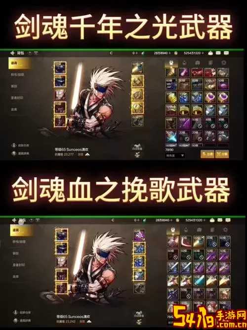 dnf剑魂武器装扮打什么徽章图3