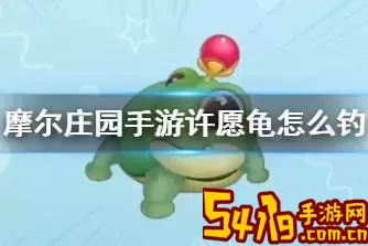 摩尔庄园手游许愿龟有什么用-摩尔庄园手游许愿龟在哪用图2