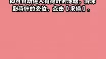 摩尔庄园手游激流勇进怎么玩-摩尔庄园里面的激流勇进怎么玩