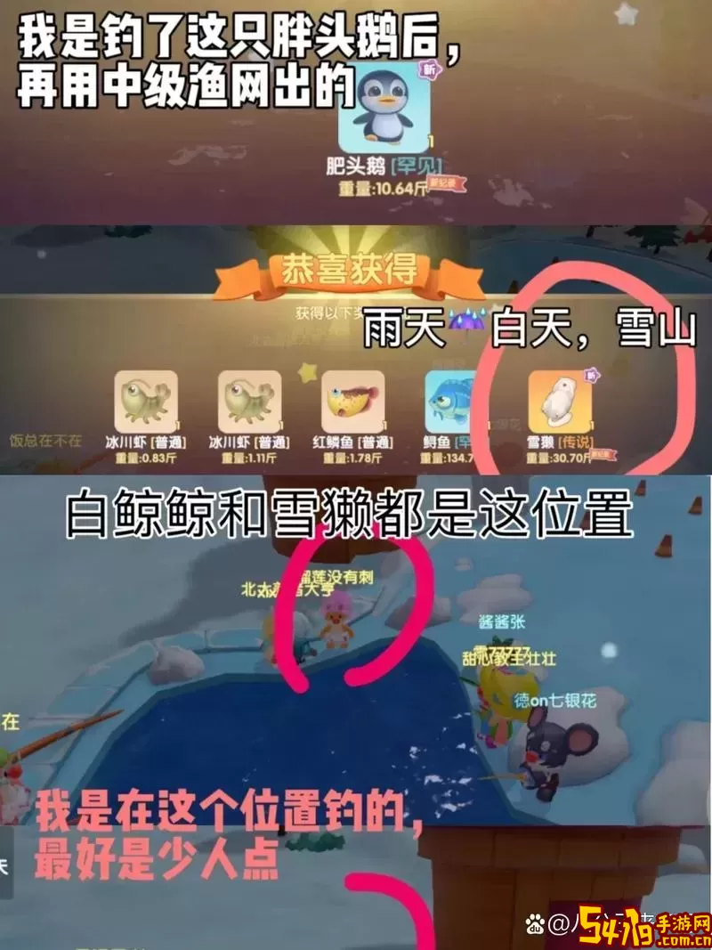 摩尔庄园下雨白天能钓什么鱼-摩尔庄园雨天白天可以钓什么图2