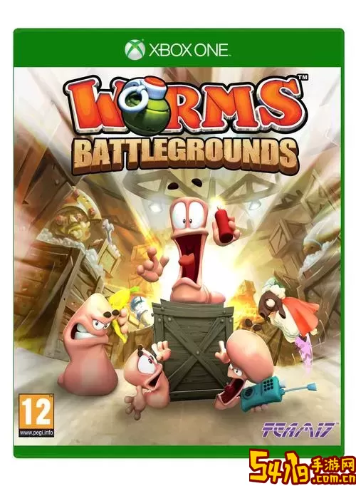 百战天虫xbox怎么多人图1