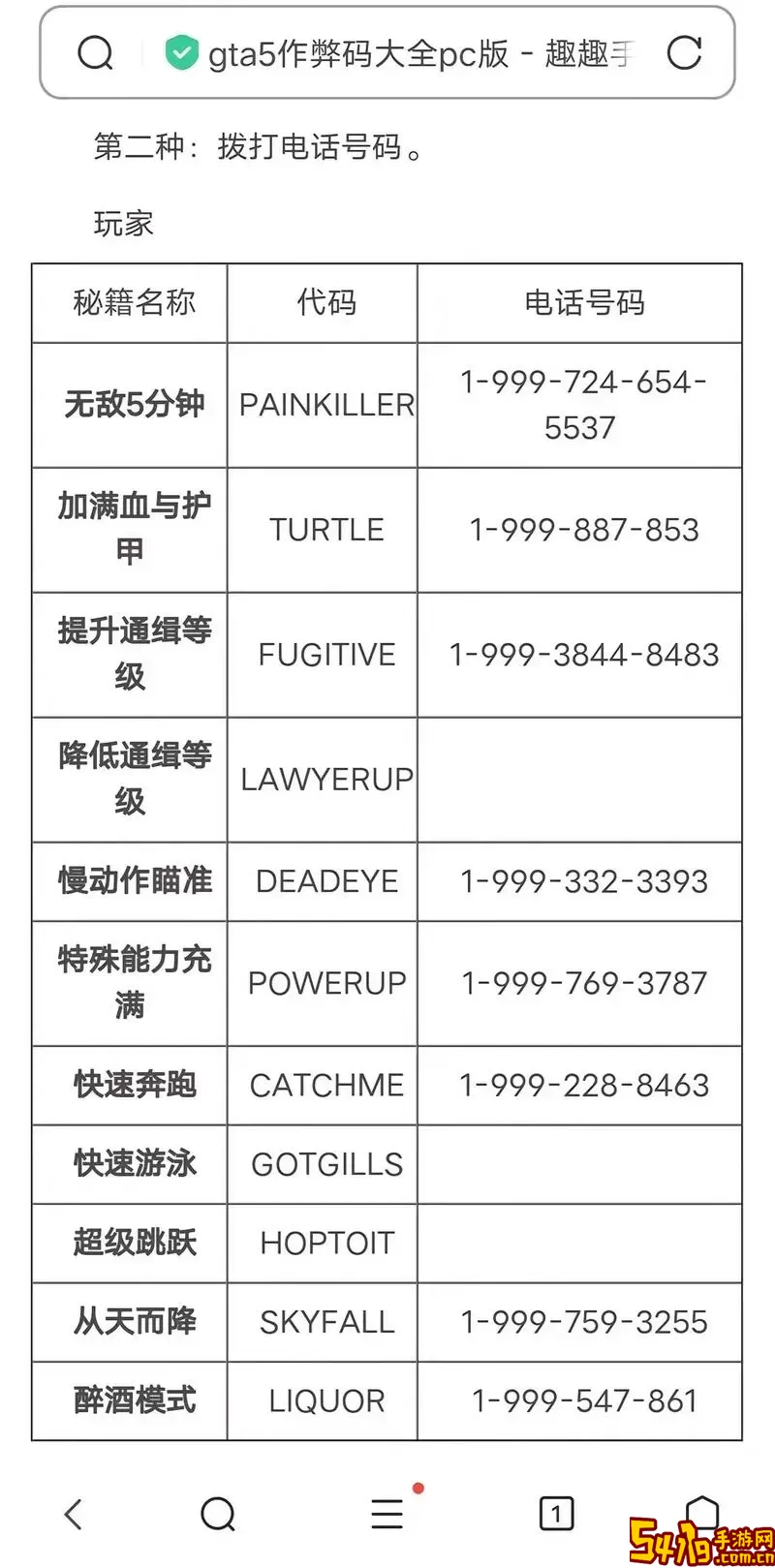 侠盗飞车5秘籍代码大全无敌图1